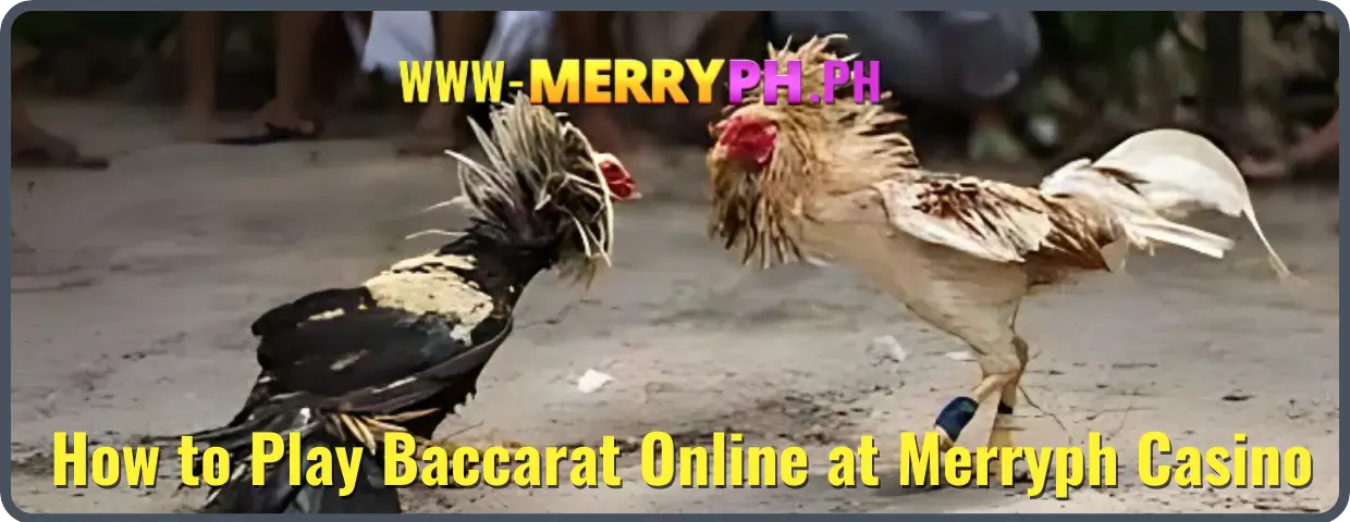 How to Play Baccarat Online at Merryph Casino (2)